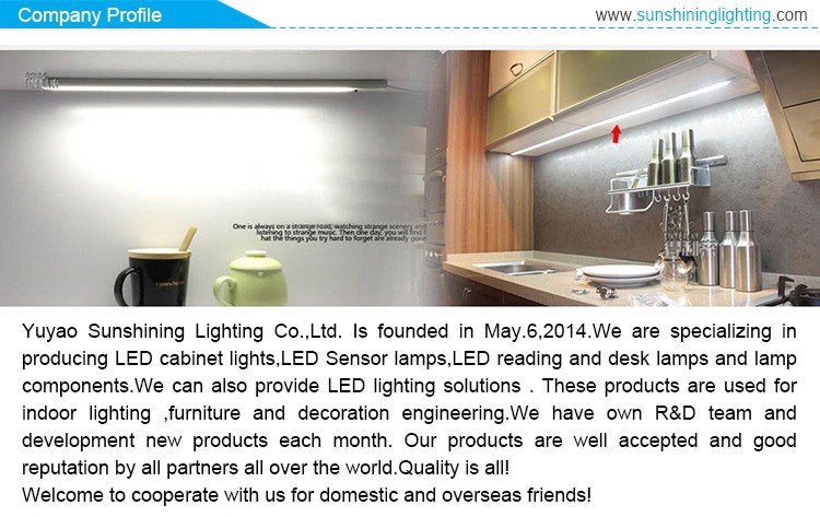 12V LED Cabinet Light with Glass Recessed Shelf Eye Light and Long-lasting Performance