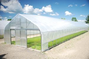 Quality Commercial Plastic Tunnel Greenhouse , High Tunnel Greenhouse Easy Assemble wholesale