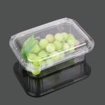 Takeaway Packaging 13.5cm Disposable Plastic Food Box