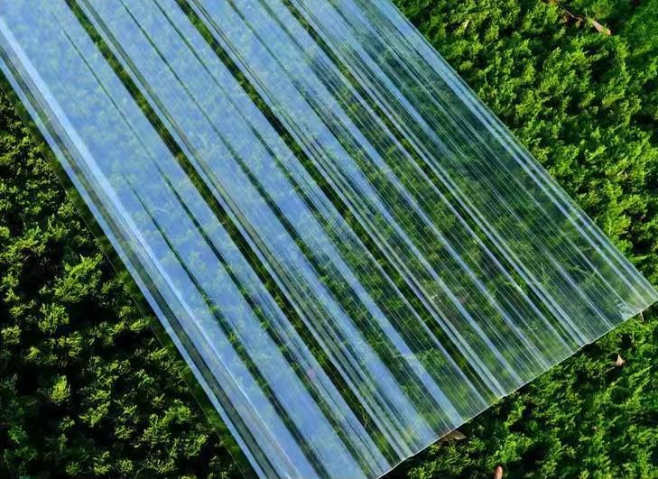 Withstand Extreme Temperature From for a Long Time Fiberglass FRP Roof Sheet