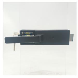 China Apartment Smart Digital Lock Door Cloud Data Storage on sale