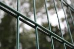 Powder Coated Twin Wire Fencing Use For Sports Fencing 8/6/8