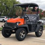 Adult Single Cylinder 4 Stroke SOHC 200CC Golf Utv