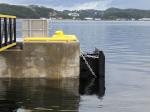 Cone Type Marine Ship Rubber Fender Pad, Cone Boat Rubber Fender