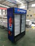 Pepsi Cola Cabinet Double Door Direct Cooling Economical Explosion