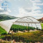 Polytunnel Zinc Steel Frame Greenhouse PE Membranes Covering