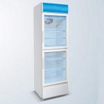 Double Door Sinlge Temperature Beverage Cooler,Display Cooler,,Commercial