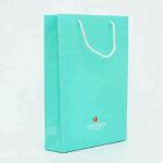 Fashion Style Paper Bag Handbag For Unisex