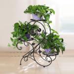 Outdoor Rustproof 64*60*26cm Iron Plant Shelf / Metal Plant Display Stand
