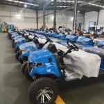 6 Seat High Speed Steel Golf Cart Customizable Color Off-Road Tires 5kw