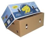 Corrugated Board Banana Carton Box