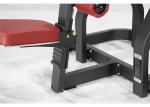 Full Commercial Gym Equipment Hammer Strength Dip Machine With Customizable