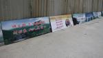 PLASTIC LENTICULAR Wholesale Customized 3d lenticular picture 3D flip prints