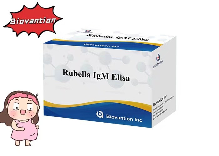 Rubella IgM ELisa Test Kit Fertility Eugenic Ten Pregnant Women Use