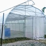 Agriculture Polyethylene Film Tunnel Greenhouse For Seedlings Vegetables