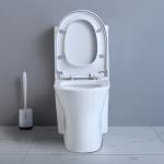 Commercial Ada Bathrooms Toilets For Physically Handicapped Challenged Person
