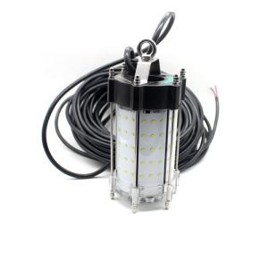 Quality 300W Night Time Fishing Lights wholesale