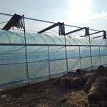 Structure Galvanized Steel Low Cost Green House Multi Span Agricultural