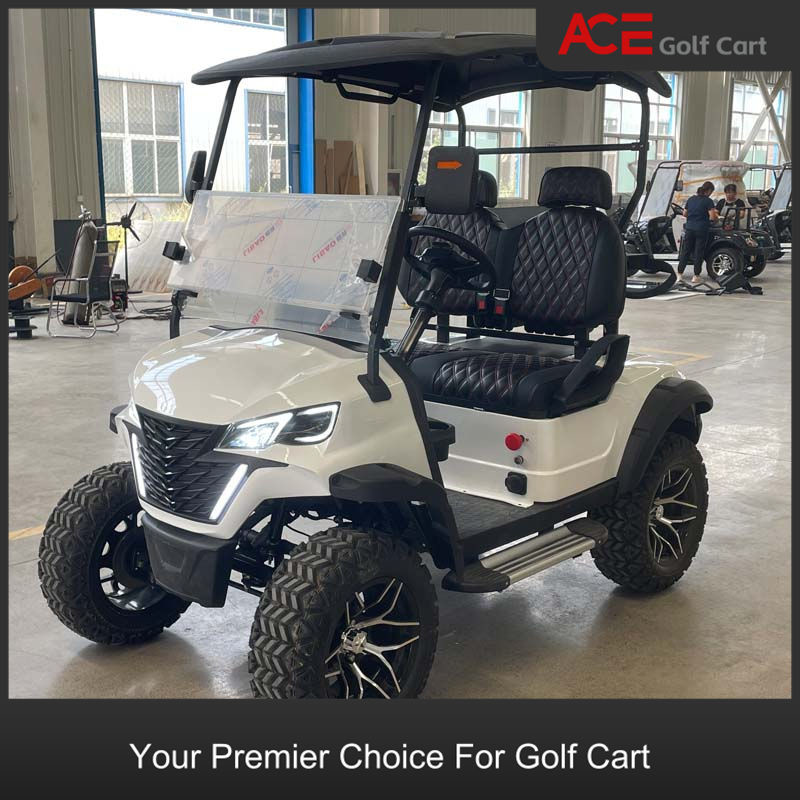 Plastic Cover 2 Seater Electric Golf Buggy Hunting Cart With CE Certificate