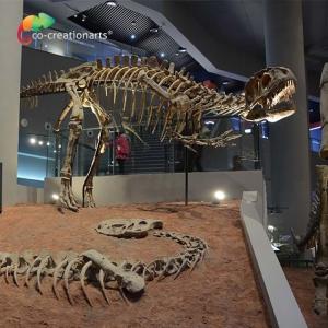Quality landscape decoration Outdoor Yangchuanosaurus Skeleton Dinosaur Replica Fossil wholesale