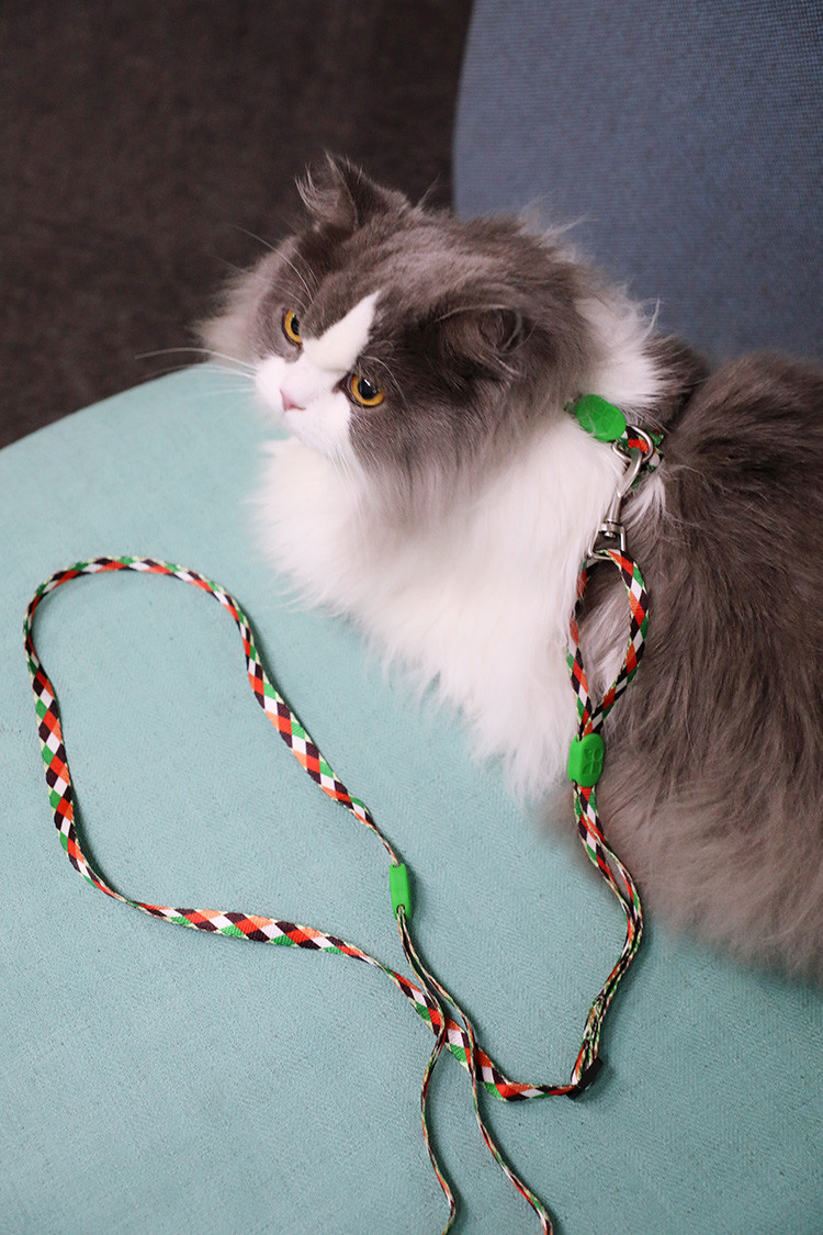 Small Cat Walking Harness And Leash Travel Use