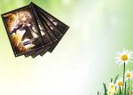 PP PE Transparent Waterproof Card Sleeves Customized Printing