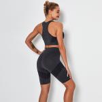 Seamless Yoga Bra And Shorts Set Soft Nylon Sexy 2 Piece Knit yoga Short Set