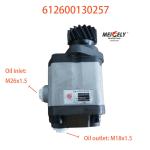 612600130257 Steering Pump Vane Pump For Beiben Weichai