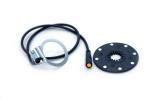 36v 350 Watt motorized bicycle conversion kit Hub Motor Wheel E bike Front Or