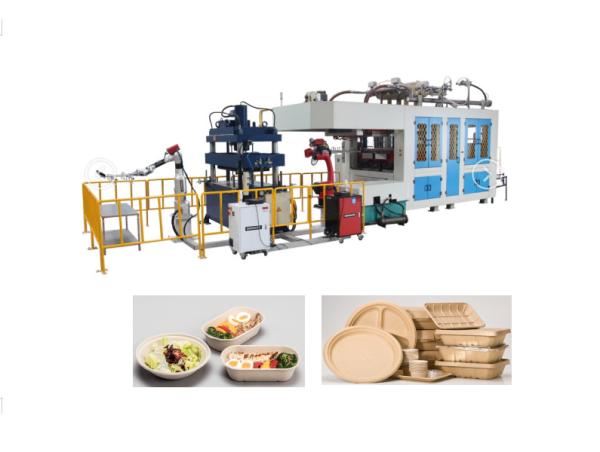 Biodegradable Paper Pulp Molding Machinery Food Container Disposable 1 Year