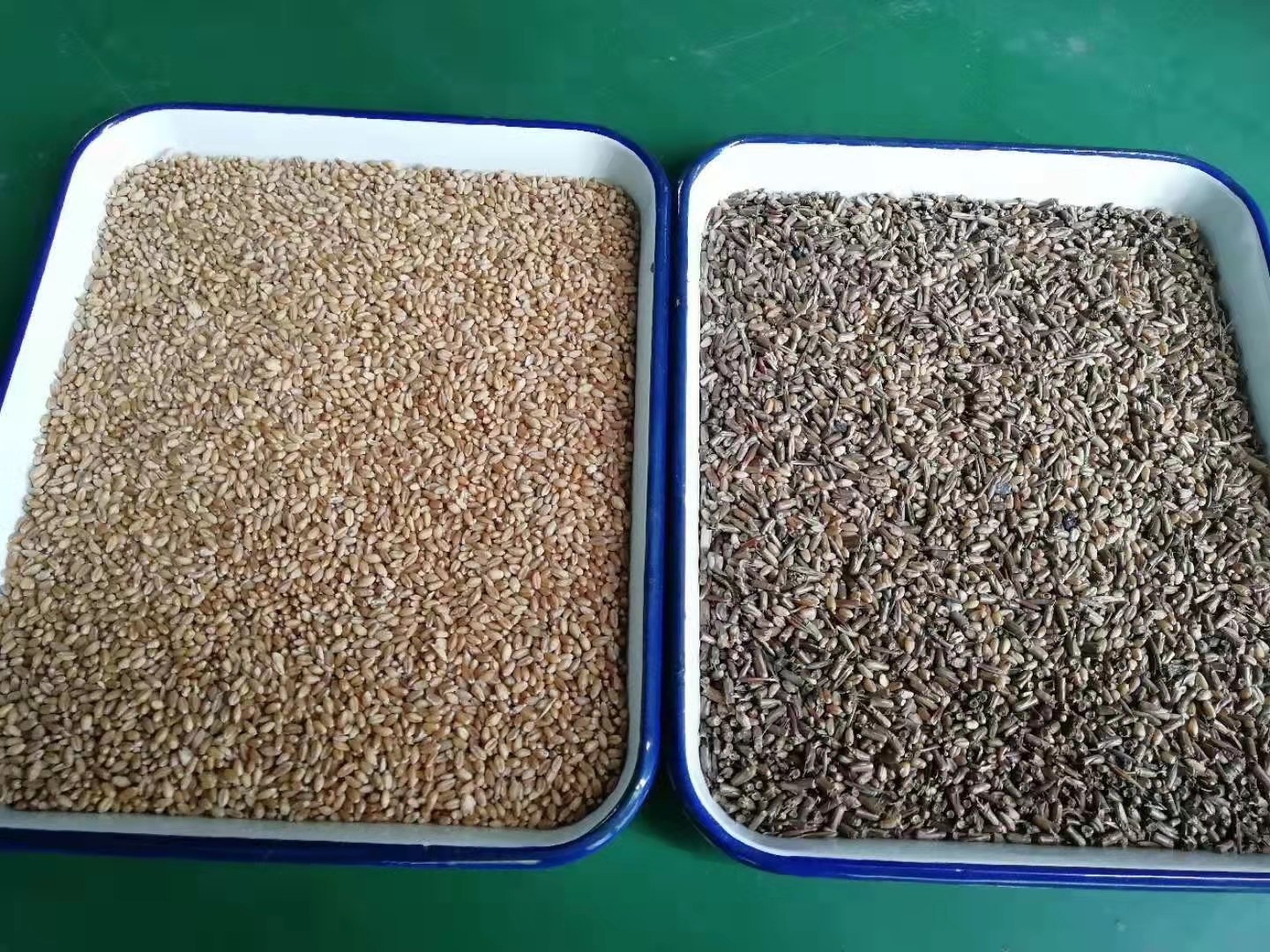 Wenyao Farm Machines Mini Optical Sorter Supplier Wheat Color Sorter