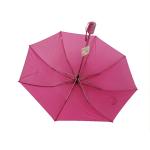 Small Compact Double Fold Umbrella Automatic Open Metal Frame No Print