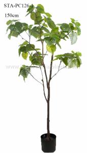 Quality Heart Shape Green Leaves Artificial Ficus Tree 120CM 150CM 180CM 210CM wholesale