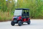 Electric Single Seat Fully Customizable Rario Golf Cart Vintage 8 Seater