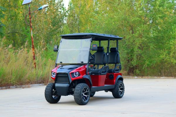 Electric Single Seat Fully Customizable Rario Golf Cart Vintage 8 Seater