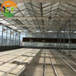 Top and Side Ventilation System Large Glass Garden Greenhouse