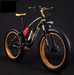 48v 500W 1000w MTB Electric fat Bikes