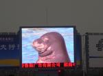 P5 Outdoor Digital Advertising Screens