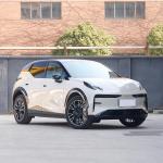 Electric Car Zeekr X Long Rang Dynamic Fashion 5-Door 4-Seat Compact SUV in