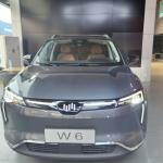WM W6 Large Electric Cars 520KM 620KM New Energy Weltmeister Electric Car SUV