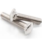 Bright Round Head Screw SS304 SS316 Din 603 Carriage Bolt A4-80