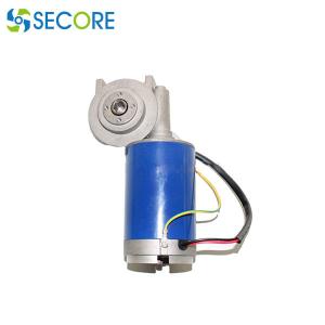 Quality Oil Expeller Brushed DC Worm Gear Motor , 50rpm Brushed DC Gear Motor wholesale