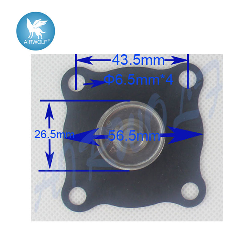 C113685 C113686 Diaphragm Repair Kit