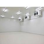 cold storage room freezer chamber for seafood storage blast freeze