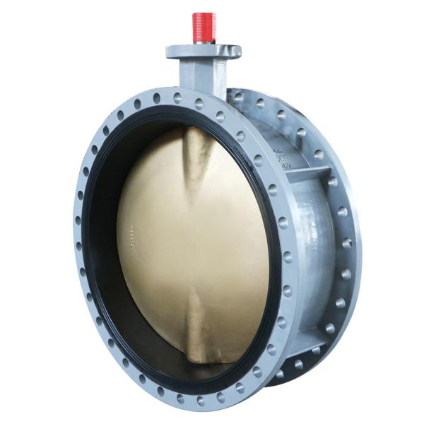 Cast Ductile Iron BS en593 ANSI DIN JIS double flanged centerline Huge Big Size