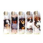 Child Resistance Disposable Plastic Electronic Petrol Cigarette Lighter 8.0*2.5