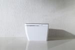 Electric Bathroom One Piece Toilet , Smart Bidet Toilet Female Washing