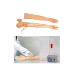 Multifunctional PVC 4kgs Venipuncture Arm Simulator