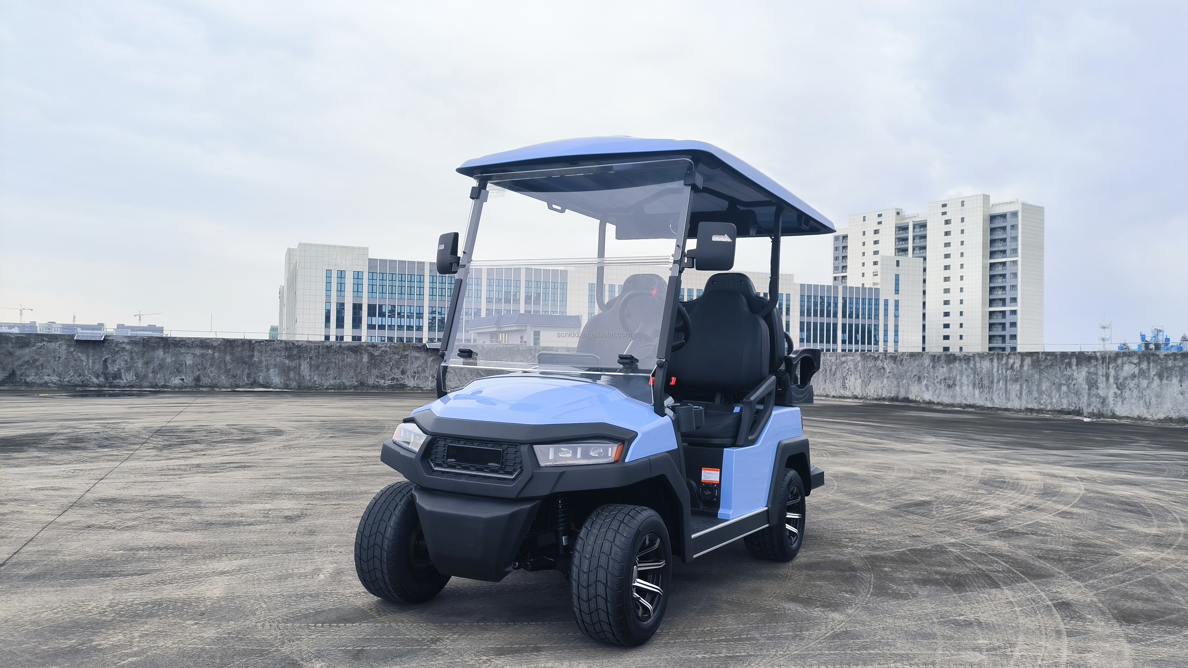 2 4 6 Seat Electric Lithium Battery Sightseeing Golf Cart Golf Buggy Car with DOT Comfortable and Spacious