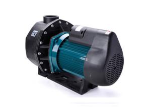 Quality Water Park Use Swimming Pool Water Pump With 100 Percent Pure Copper Motor wholesale